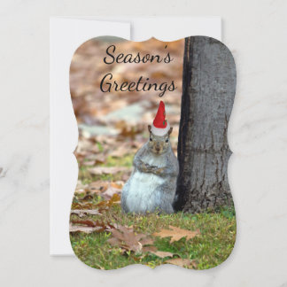 Funny Christmas Santa  Greeting card