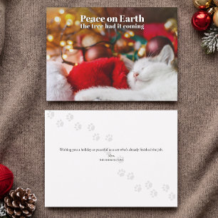 Funny Christmas Sleeping Cat Peace on Earth Holiday Card