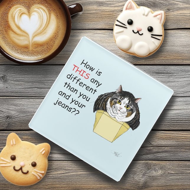 Funny Chubby Tabby Cat Box Glass Coaster (Creator Uploaded)