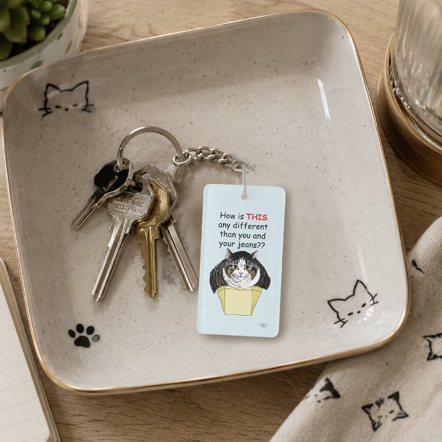 Funny Chubby Tabby Cat Box Key Ring (Creator Uploaded)