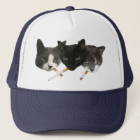 Funny Cigarette Smoking Cats