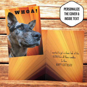 Funny Close Up Photo Cattle Dog Head Card