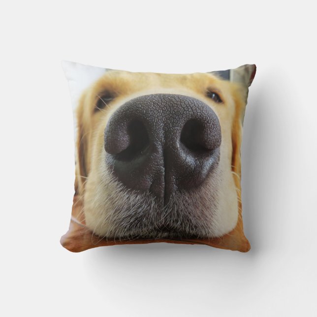 FUNNY CLOSEUP DOG PHOTO PILLOWS (Front)