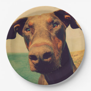 Funny Closeup of a Natural Doberman Dog Paper Plate