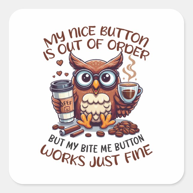 Funny Co-Worker | My Nice Button Is Out of Order Square Sticker (Front)