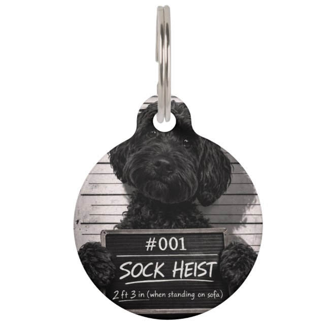 Funny Cockapoo Sock Heist Mugshot Pet Tag (Front)