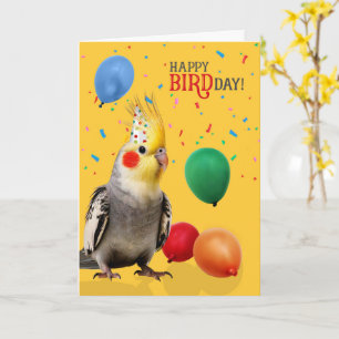Funny Cockatiel Parrot Birthday Humor Card