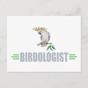 Funny Cockatiel Postcard