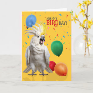 Funny Cockatoo Parrot Birthday Humor Card
