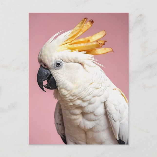 Funny Cockatoo With French Fries Crest Postcard (Front)