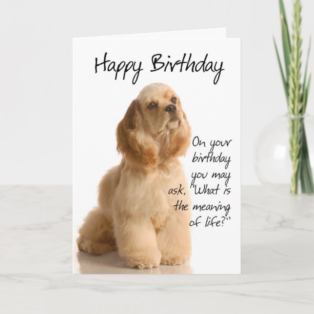 Funny Cocker Spaniel Birthday Card (Front)