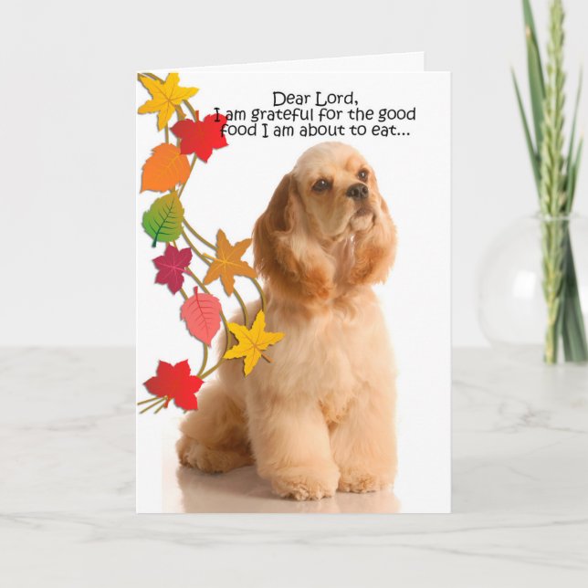 Funny Cocker Spaniel Thanksgiving Card (Front)