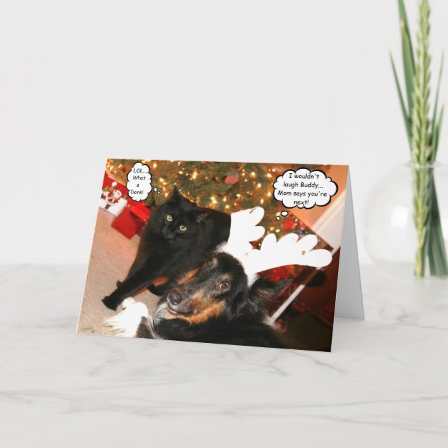 Funny Collie & Black Cat Christmas Card 2 (Front)