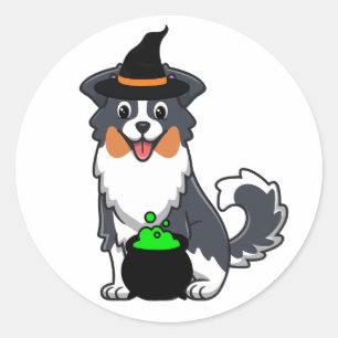Funny collie dog is a witch classic round sticker