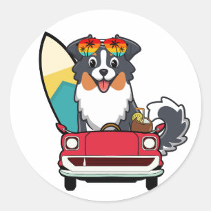Funny Collie Dog is driving to the beach Classic Round Sticker