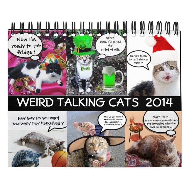 FUNNY COMIC STRIPS FROM WEIRD TALKING CATS 2014 CALENDAR (Cover)