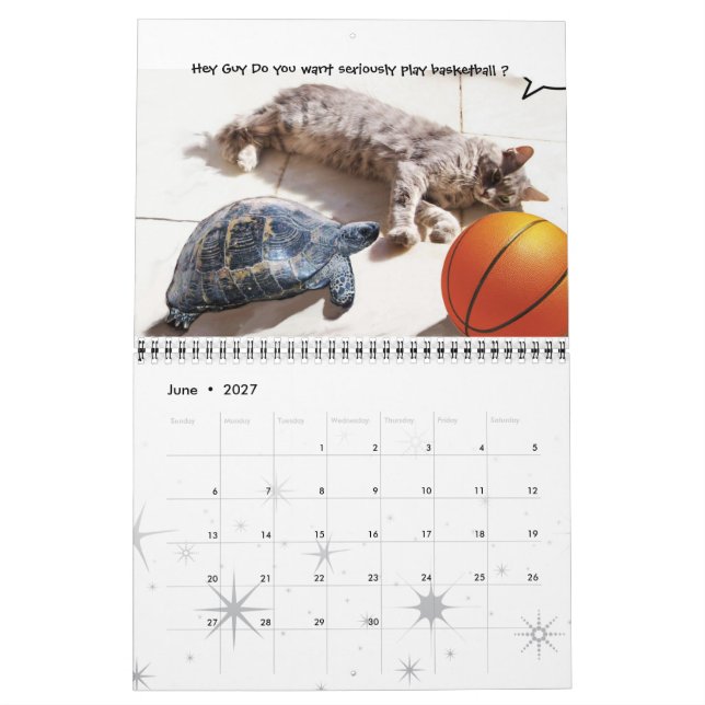 FUNNY COMIC STRIPS FROM WEIRD TALKING CATS 2015 CALENDAR (Jun 2027)