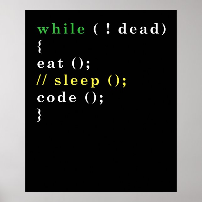 Funny Computer Science Programmer Eat Sleep Code Poster (Front)