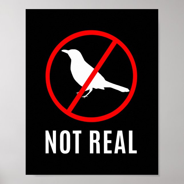 Funny Conspiracy Theory Birds Are A Lie Meme  Poster (Front)