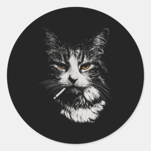 Funny Cool Cat Smoking Funny Meme Cigarette Cat Ga Classic Round Sticker