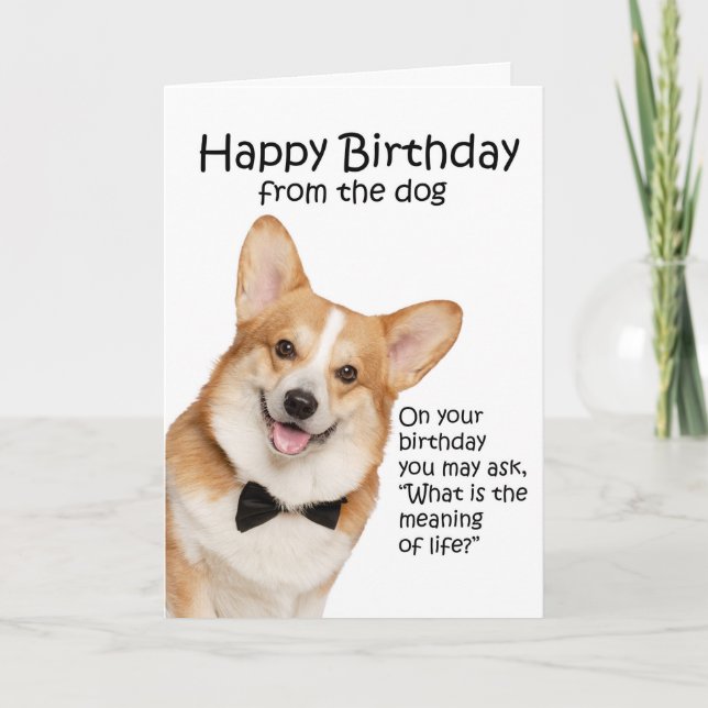 Funny Corgi Birthday Card (Front)