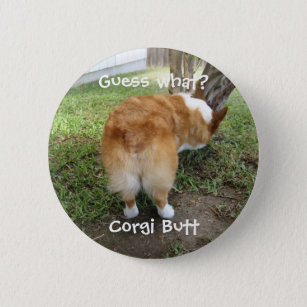 Funny Corgi Butt Guess What Humour Photo 6 Cm Round Badge