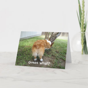 Funny Corgi Card