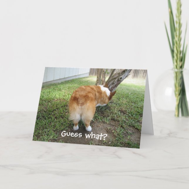 Funny Corgi Card (Front)
