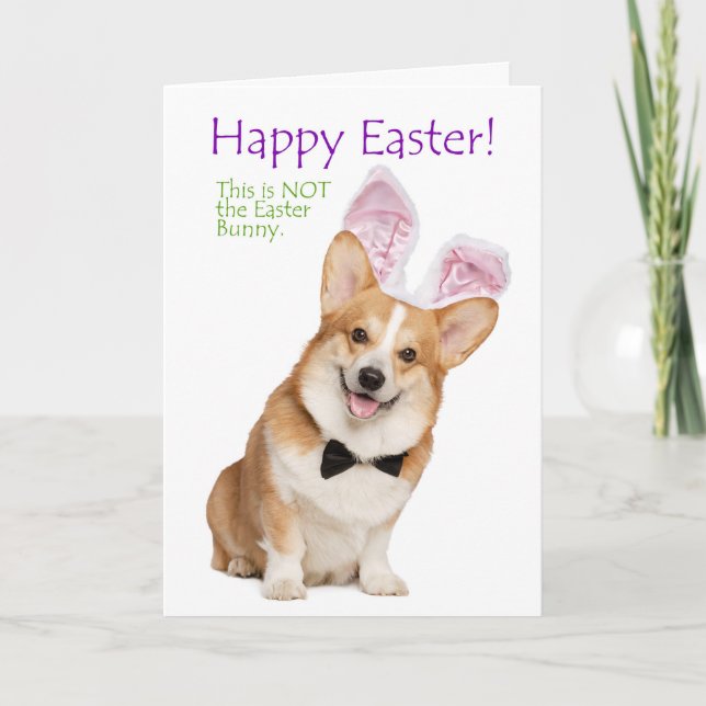 Funny Corgi Easter Card (Front)