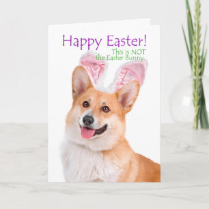 Funny Corgi Easter Card