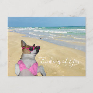 Funny Corgi in Bikini Beach Postcard