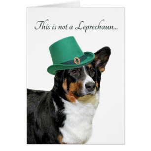 Funny Corgi Leprechaun Card