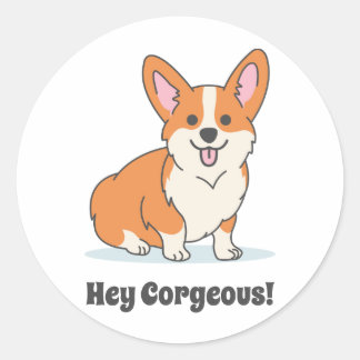 Funny Corgi Puppy - Hey Corgeous Classic Round Sticker