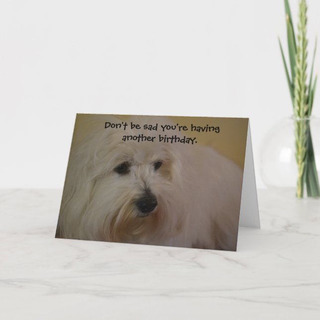 Funny Coton Doggie Years Birthday Card (Front)