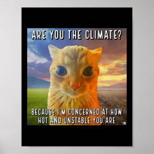 Funny Couple Valentine Orange Cat Meme Are You The Poster