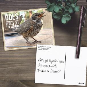 Funny Cover Text Bird Photo Postcard