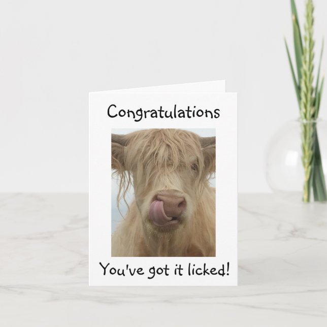 Funny Cow Congratulations Card (Front)