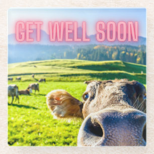 Funny Cow Get Well Soon  Glass Coaster