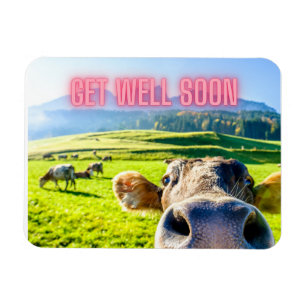 Funny Cow Get Well Soon   Magnet