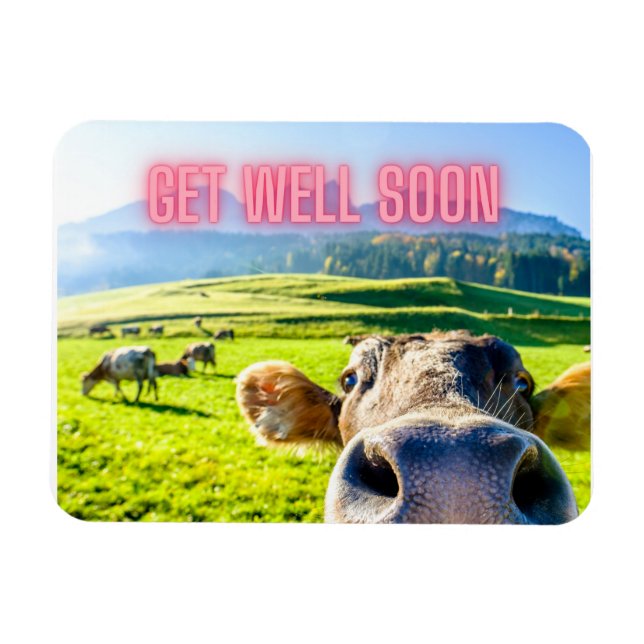 Funny Cow Get Well Soon   Magnet (Horizontal)