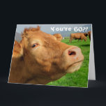 Funny Cow Happy 60th Birthday Card<br><div class="desc">This design features a funny image of a cow! Ideal for special occasions such as birthdays,  anniversaries and more. If you wish to personalize the design by changing the message,  age or font please click on “Edit Design”.</div>