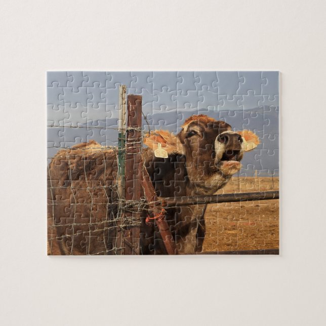 Funny Cow Jigsaw Puzzle (Horizontal)