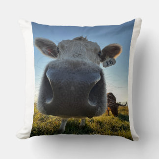 Funny Cow Pillow