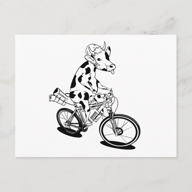 Funny cow riding a bike postcard (Front)