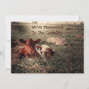 Funny Cow Rustic Country Farm Moving Announcement