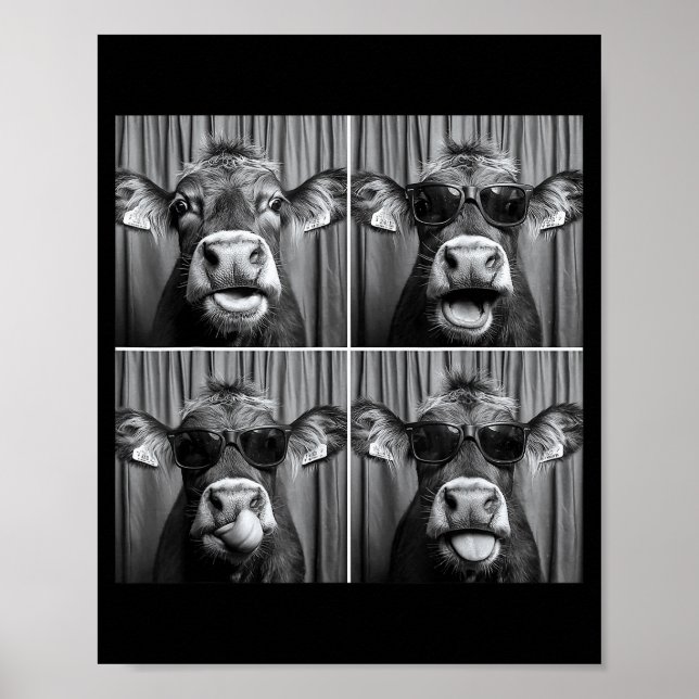Funny Cow Sungles  Poster (Front)