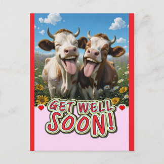 funny cows postcard