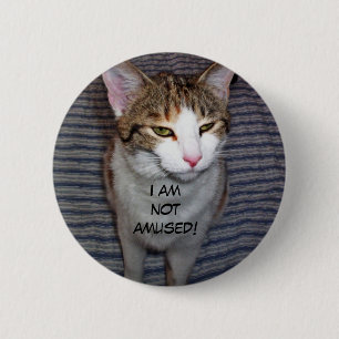 Funny cranky cat 6 cm round badge