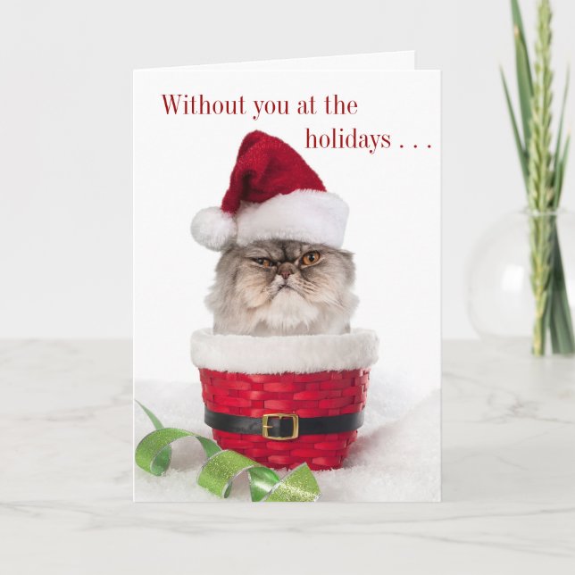 Funny Cranky Cat Christmas Cards (Front)