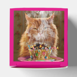 Funny Cranky Cat With Melted Birthday Cupcake Favour Box